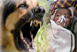 Shocking news from Kanpur: