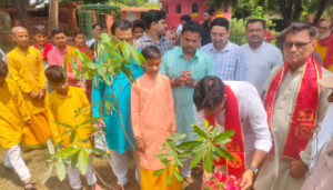 tree plantation at bithoor