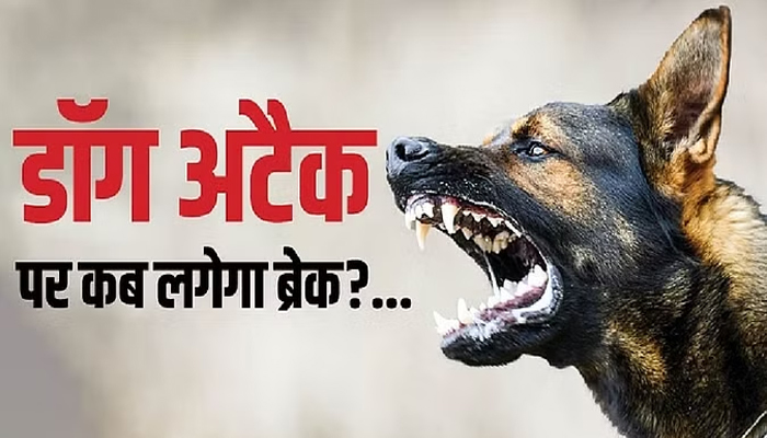 Dog attacked