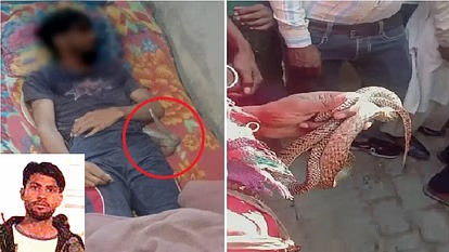 मेरठ में एक और ‘सौरभ’ हत्याकांड: बीवी ने प्रेमी संग मारा, फिर इसलिए सांप से डसवाया; गूगल-यूट्यूब पर देखा तरीका