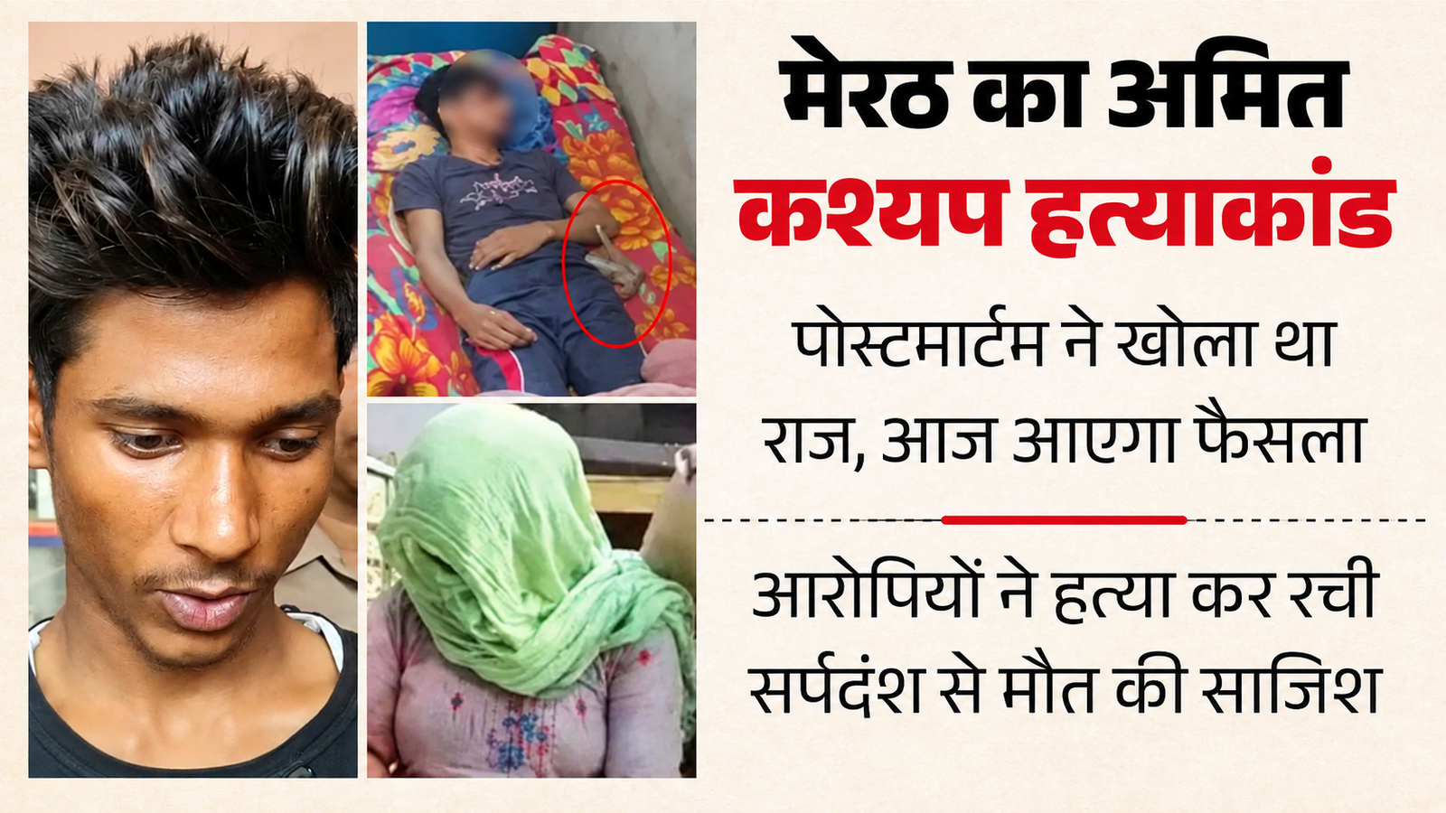 Meerut Snakebite Murder Case